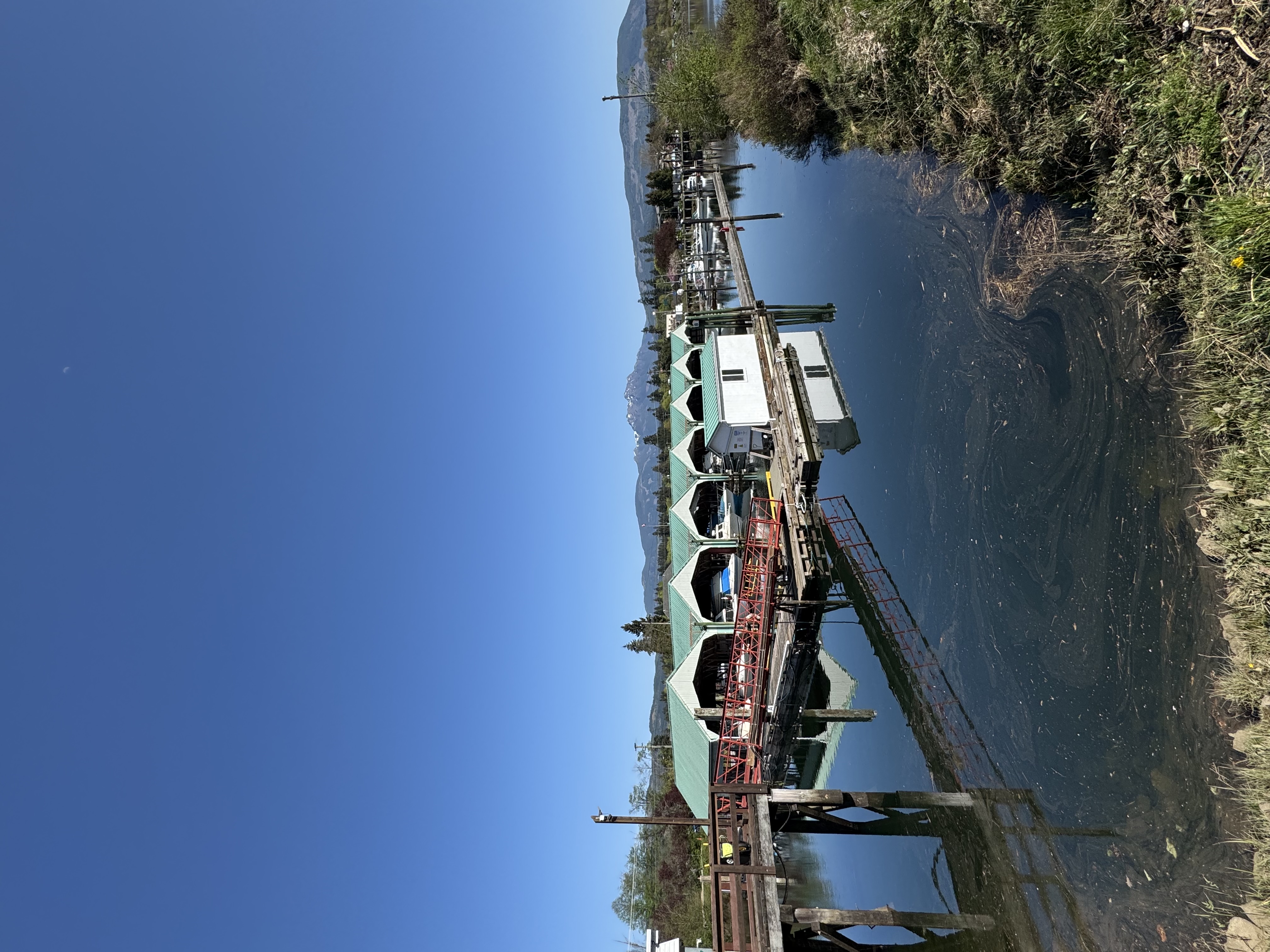 Clutesi Haven Marina